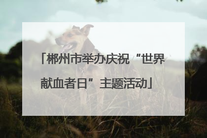 郴州市举办庆祝“世界献血者日”主题活动