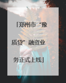 郑州市“豫质贷”融资业务正式上线