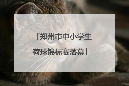 郑州市中小学生荷球锦标赛落幕