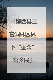 郧西县三官洞林区林下“掘金”富乡民