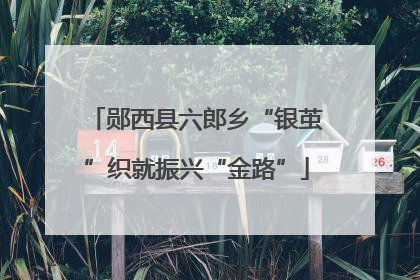 郧西县六郎乡“银茧”织就振兴“金路”