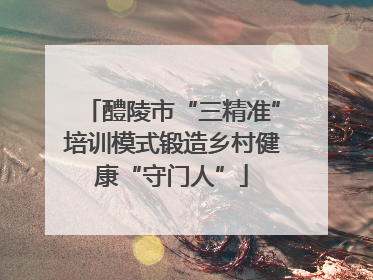 醴陵市“三精准”培训模式锻造乡村健康“守门人”