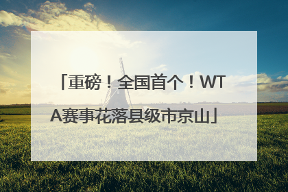 重磅！全国首个！WTA赛事花落县级市京山