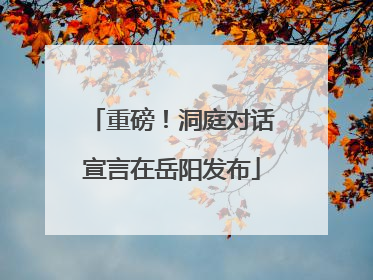 重磅！洞庭对话宣言在岳阳发布