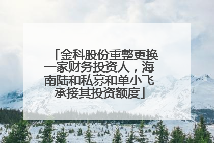 金科股份重整更换一家财务投资人，海南陆和私募和单小飞承接其投资额度