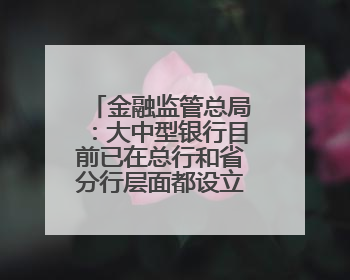 金融监管总局：大中型银行目前已在总行和省分行层面都设立了专门的科技金融部门