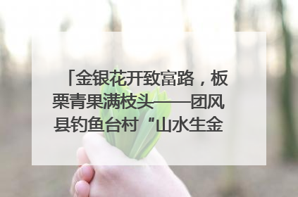 金银花开致富路，板栗青果满枝头——团风县钓鱼台村“山水生金”谱写共富新篇章