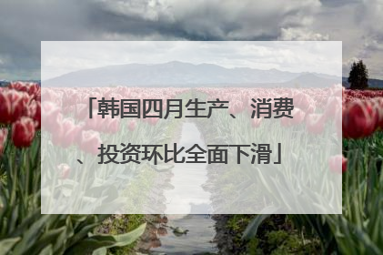 韩国四月生产、消费、投资环比全面下滑