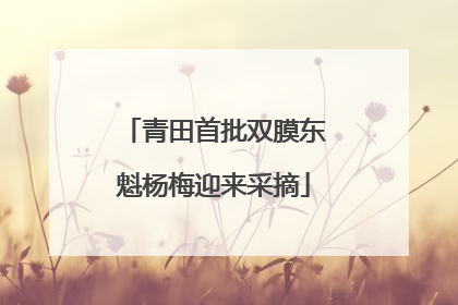 青田首批双膜东魁杨梅迎来采摘