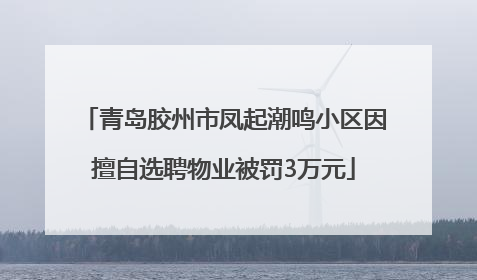 青岛胶州市凤起潮鸣小区因擅自选聘物业被罚3万元
