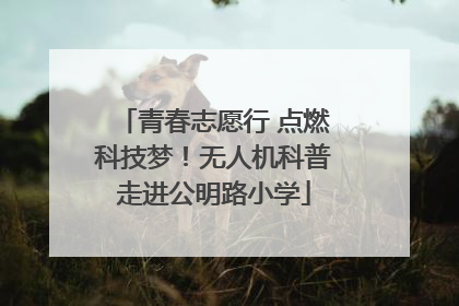 青春志愿行 点燃科技梦！无人机科普走进公明路小学