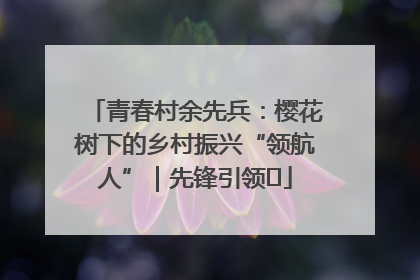 青春村余先兵：樱花树下的乡村振兴“领航人”｜先锋引领⑪