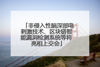 非侵入性脑深部电刺激技术、区块链智能漏洞检测系统等将亮相上交会