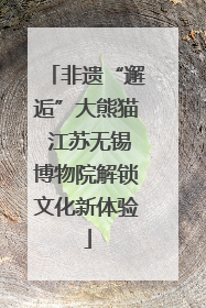 非遗“邂逅”大熊猫 江苏无锡博物院解锁文化新体验