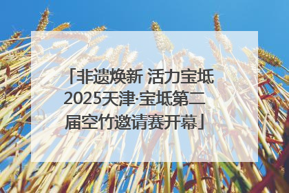 非遗焕新 活力宝坻 2025天津·宝坻第二届空竹邀请赛开幕