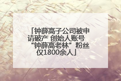 钟薛高子公司被申请破产 创始人账号“钟薛高老林”粉丝仅1800余人