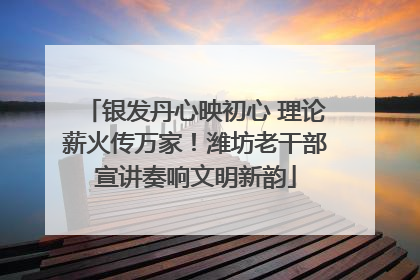 银发丹心映初心 理论薪火传万家！潍坊老干部宣讲奏响文明新韵