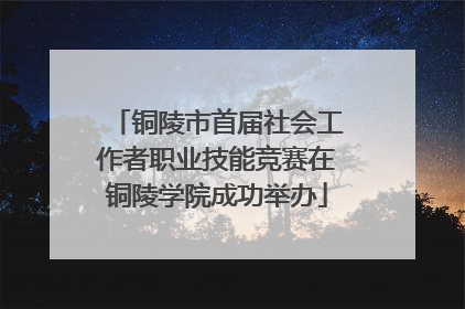 铜陵市首届社会工作者职业技能竞赛在铜陵学院成功举办