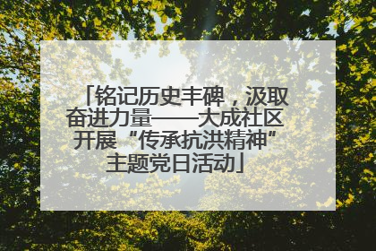 铭记历史丰碑，汲取奋进力量——大成社区开展“传承抗洪精神”主题党日活动
