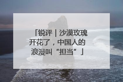 锐评｜沙漠玫瑰开花了，中国人的浪漫叫“担当”
