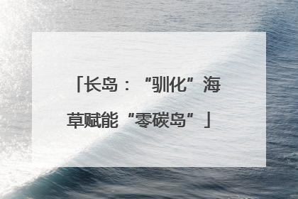 长岛：“驯化”海草赋能“零碳岛”