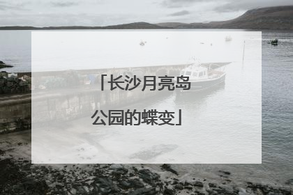 长沙月亮岛公园的蝶变