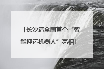 长沙造全国首个“智能押运机器人”亮相