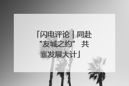 闪电评论｜同赴“友城之约” 共襄发展大计