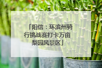 阳信：环滨州骑行挑战赛打卡万亩梨园风景区