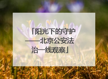 阳光下的守护——北京公安法治一线观察