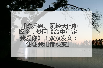 陈乔恩、阮经天同框撑伞，梦回《命中注定我爱你》！双双发文：谢谢我们都没变