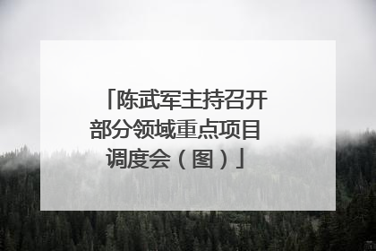 陈武军主持召开部分领域重点项目调度会（图）