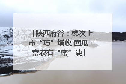 陕西府谷：梯次上市“巧”增收 西瓜富农有“蜜”诀