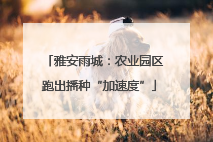 雅安雨城：农业园区跑出播种“加速度”