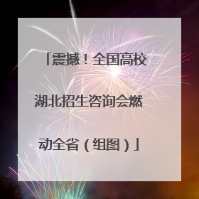 震撼！全国高校湖北招生咨询会燃动全省（组图）