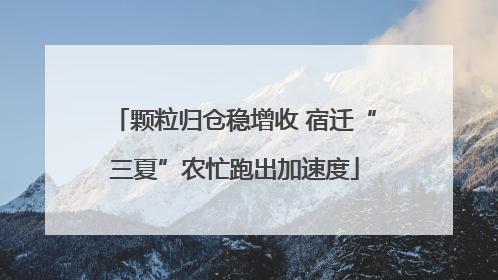 颗粒归仓稳增收 宿迁“三夏”农忙跑出加速度