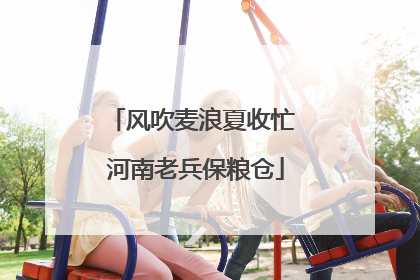 风吹麦浪夏收忙 河南老兵保粮仓