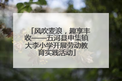 风吹麦浪，趣享丰收——五河县申集镇大李小学开展劳动教育实践活动