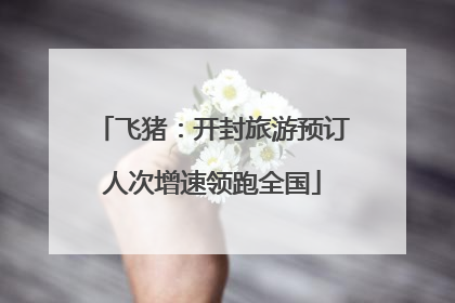 飞猪：开封旅游预订人次增速领跑全国