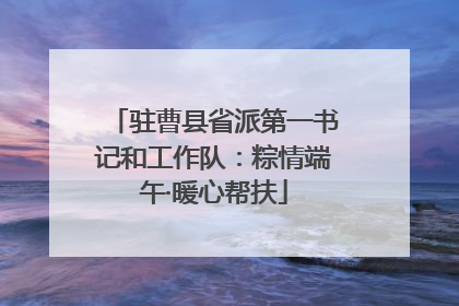 驻曹县省派第一书记和工作队：粽情端午·暖心帮扶
