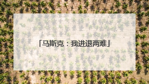 马斯克：我进退两难
