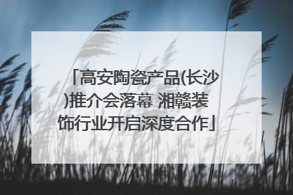 高安陶瓷产品(长沙)推介会落幕 湘赣装饰行业开启深度合作