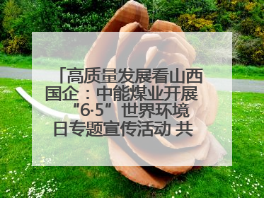 高质量发展看山西国企：中能煤业开展“6·5”世界环境日专题宣传活动 共筑绿色矿山