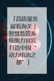 高质量发展看海关｜智慧监管系统助力宜宾打造中国“动力电池之都”