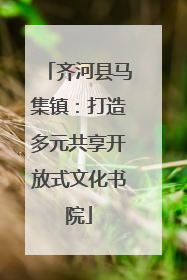 齐河县马集镇：打造多元共享开放式文化书院