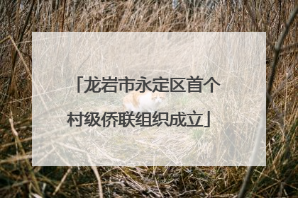 龙岩市永定区首个村级侨联组织成立