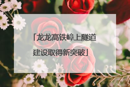 龙龙高铁嶂上隧道建设取得新突破