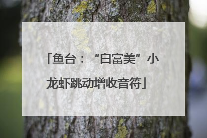 鱼台：“白富美”小龙虾跳动增收音符