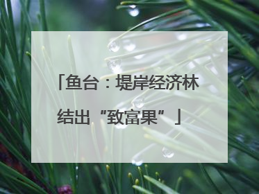 鱼台：堤岸经济林结出“致富果”