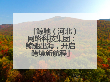 鲸驰（河北）网络科技集团：鲸驰出海，开启跨境新航程